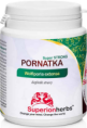 Pornatka kokosová
